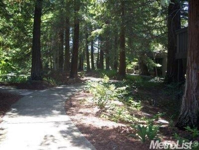 Building Photo - Lower-Level Condo in Gated Timberlake, The...