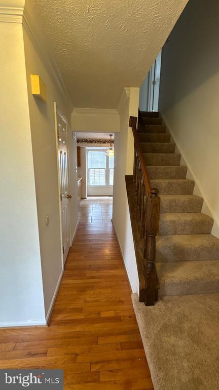 Foto del edificio - 8698 Open Meadow Way