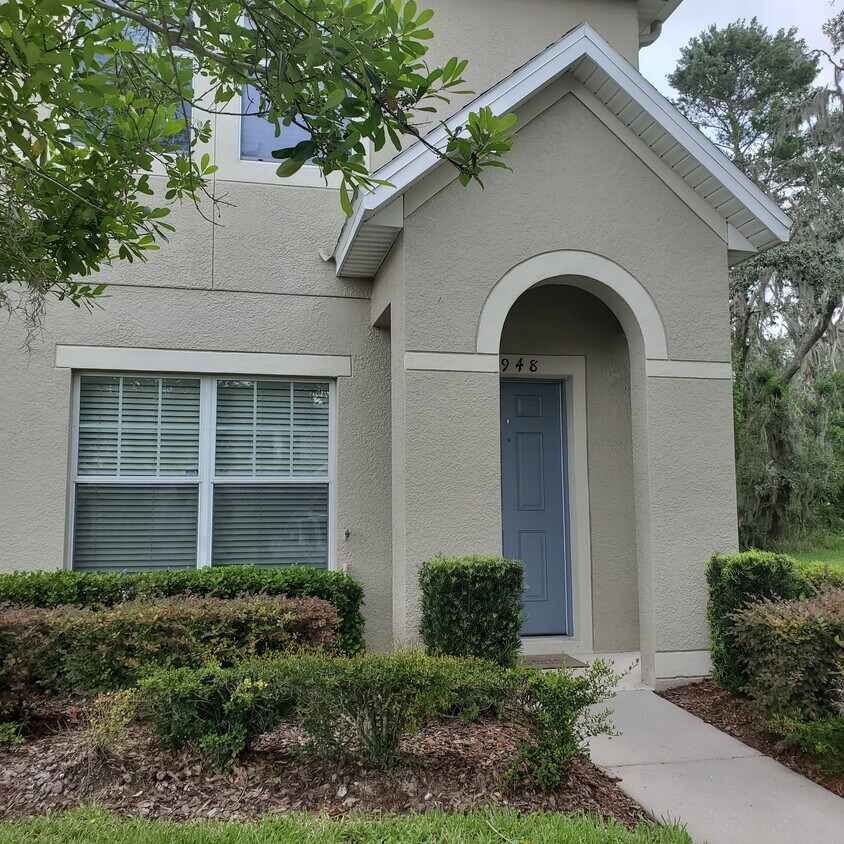 15948 Fishhawk View Dr, Lithia, FL 33547 Townhouse for Rent in Lithia