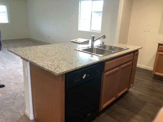 Building Photo - Newer 4 Bedroom Home in Plumas Lake