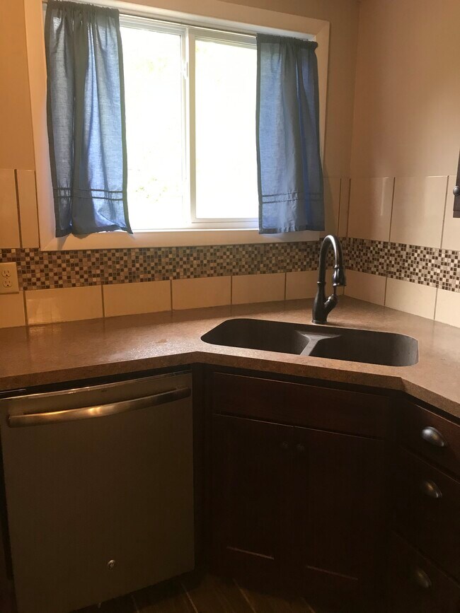 No lip sink with pull out faucet. - 819 E 1st St