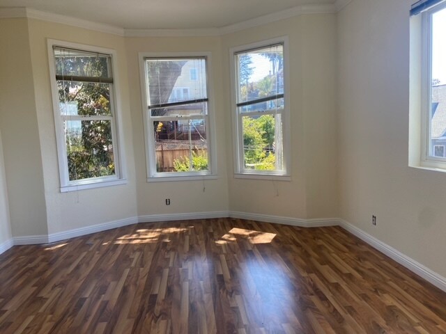 Bay windows in living room with molding throughout - 103 Cortland Ave