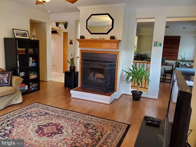 Building Photo - 8 Rex Ave