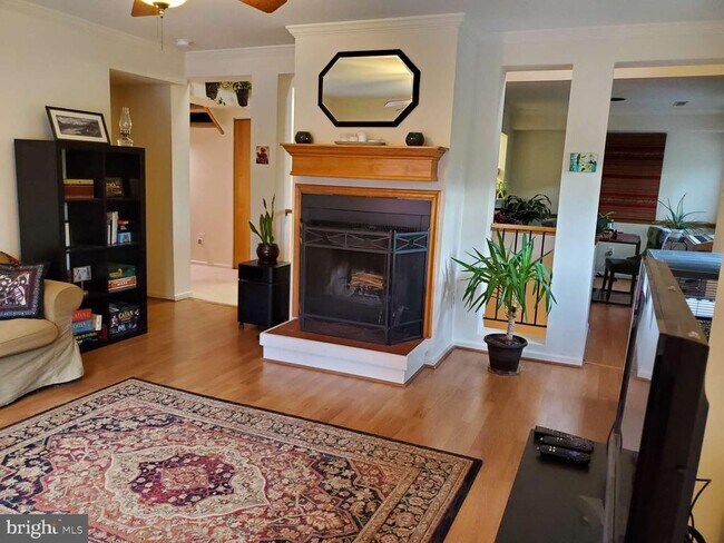 Foto del edificio - 8 Rex Ave