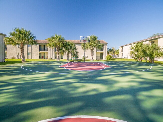 campus palms apartments usf student living tampa fl apartments com