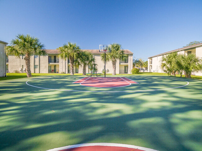 Basketball Court - *Campus Palms Apartments- USF STUDENT LIVING*