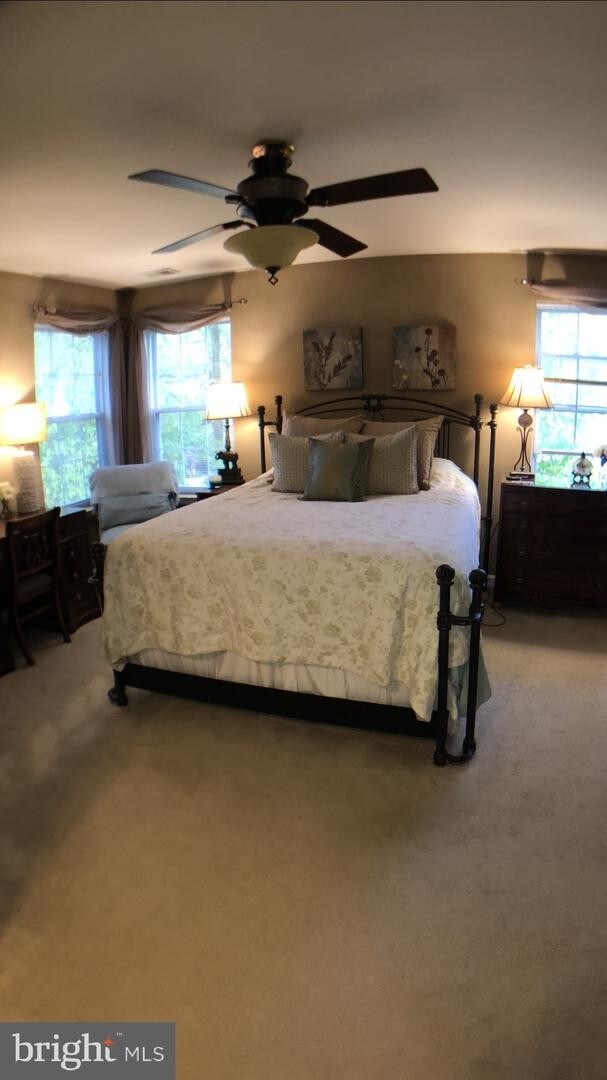 Foto del edificio - 499 Pitt Ct