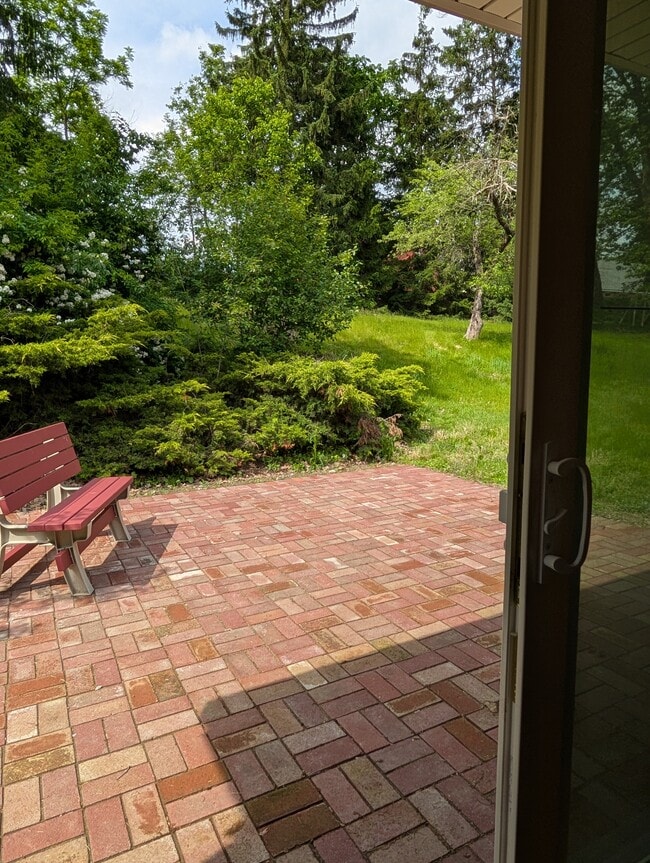 Back patio - 106 Maruth Dr