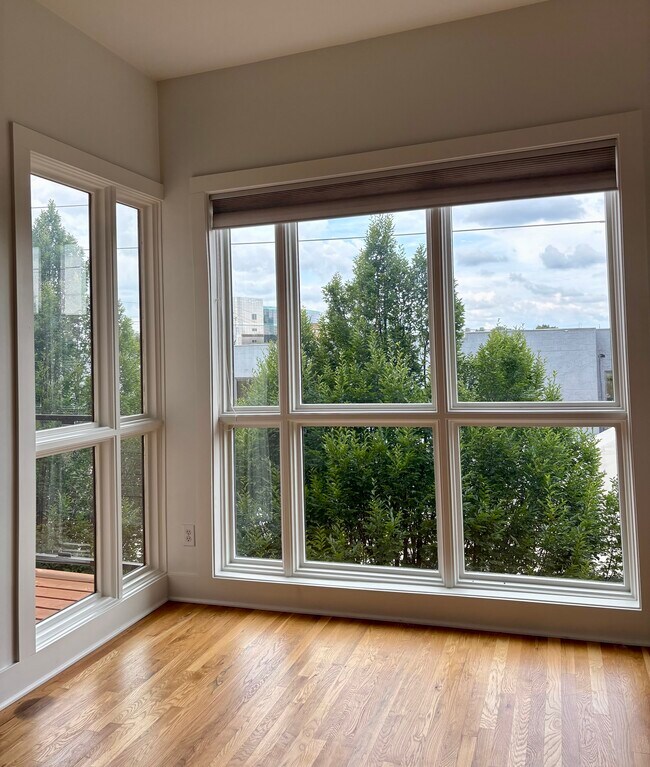 Natural light with pull-down shade. - 233 E Saint Joseph St