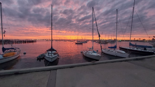 Building Photo - 3345 Oliphant St