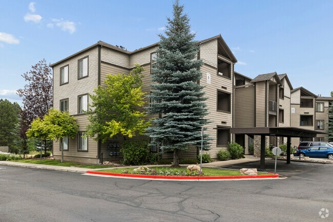 The Lodge - The Lodge Apartments