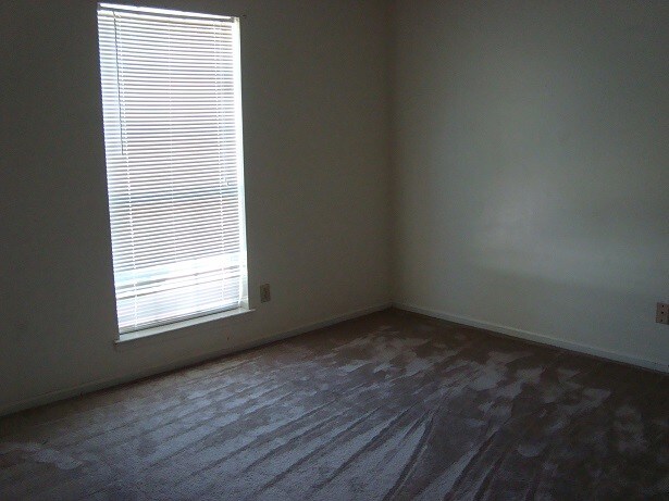 Photo - 929 Live Oak Dr