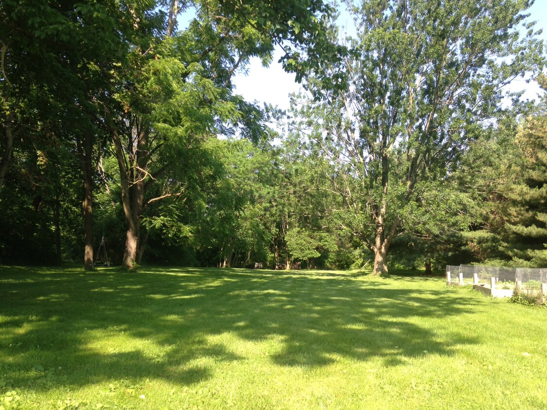 1 acre yard. This is the back yard. - 421 N Union St