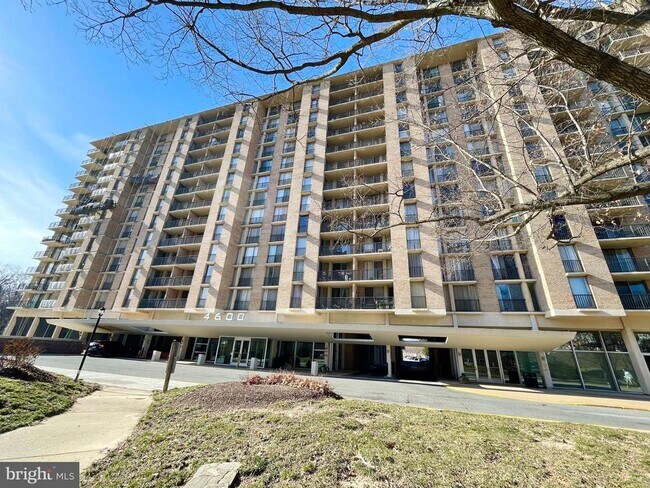 Building Photo - 4600 S Four Mile Run Dr