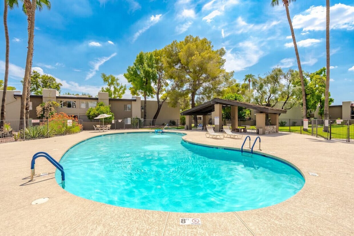 Primary Photo - 4201 E Camelback Rd