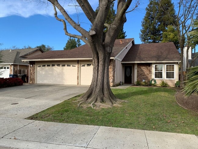Building Photo - COMING SOON! Beautiful 4-Bedroom Home in S...