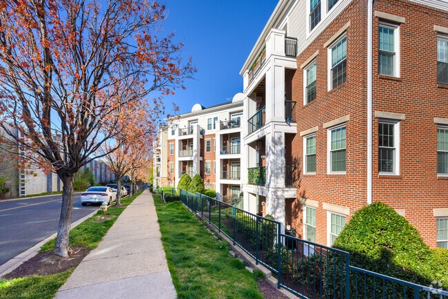 The Grove At Arlington