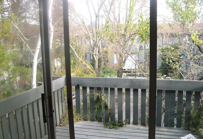 Tree surrounded balcony - 1036 Oak Grove Rd