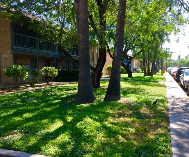 McIntyre Apartments Edinburg, TX