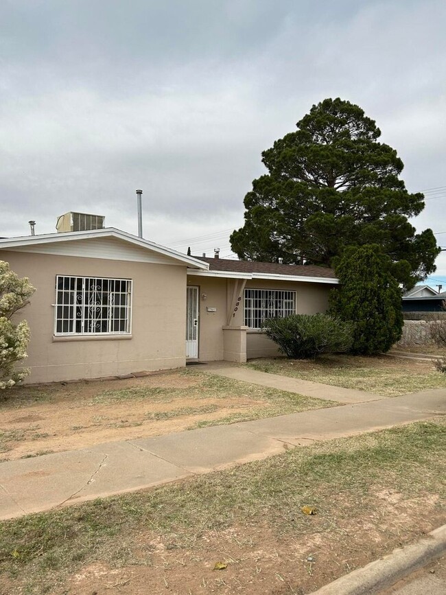 Building Photo - Spacious 4 bedroom, 2 bath Home, Huge Shad...