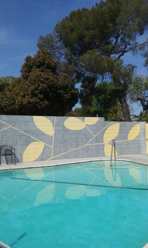 [POOL AREA - 3293 Cahuenga Blvd W