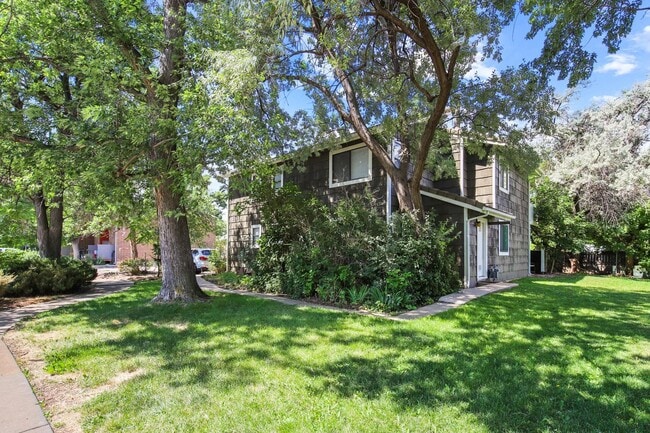 Newly Remodeled 1 BR Available Now! - Newly Remodeled 1 BR Available Now! Apartment