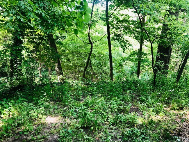 Foto del edificio - 2034 Iuka Ave