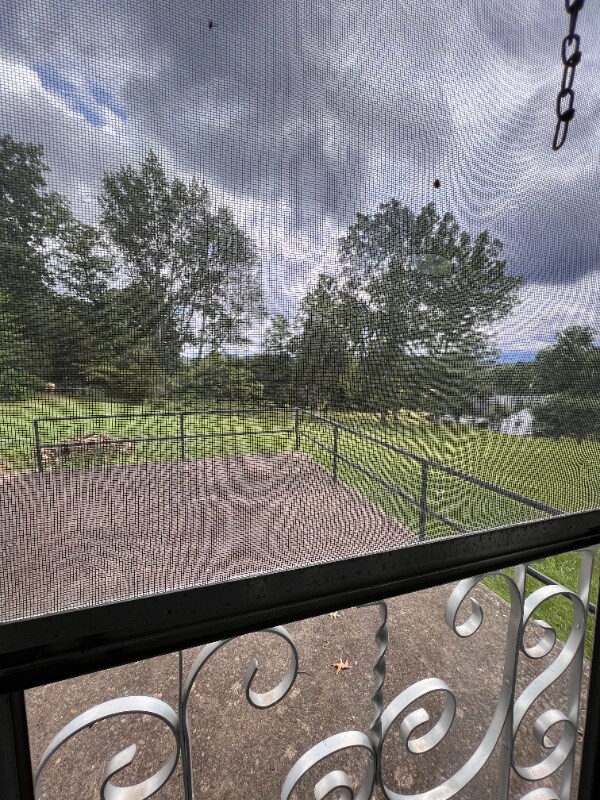 Foto del edificio - 232 Wildwood Dr
