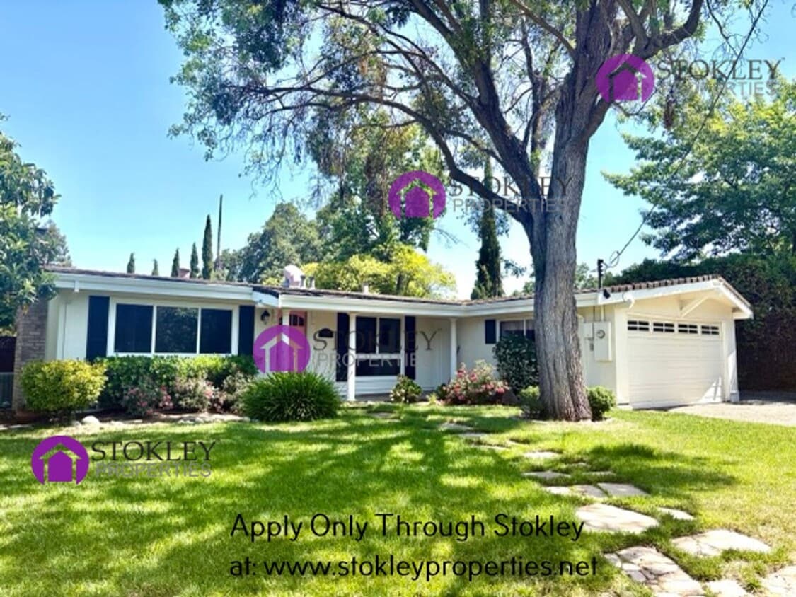 Primary Photo - Stokley Properties Presents 1558 1St. Ave....