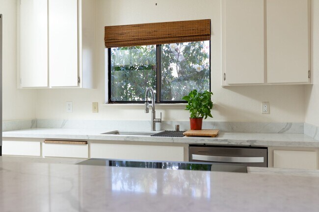 Foto del edificio - Live Oak Townhome – Completely Renovated & Move-In Ready!