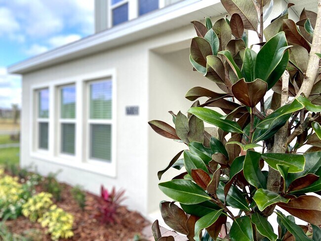 Building Photo - Brand New Construction 3 Bedroom Home!