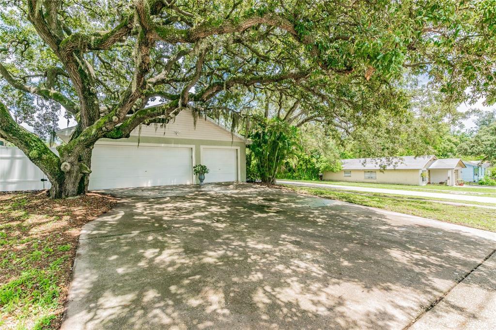 143 Suwannee Ave, Tarpon Springs, FL 34689 House Rental in Tarpon