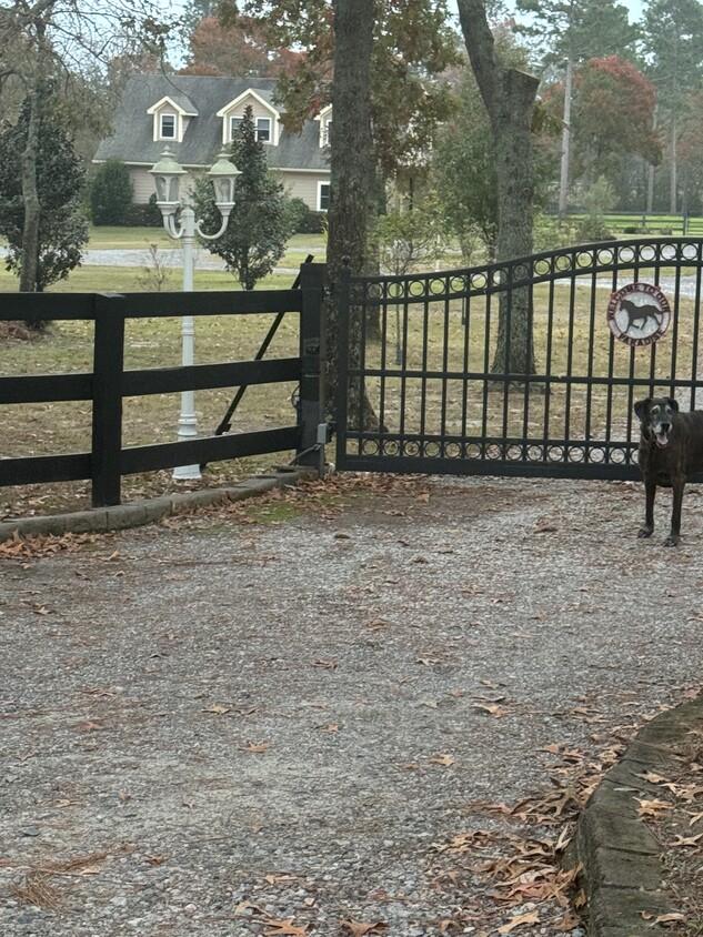 Front entrance from road - 970 Shell Bluff Dr