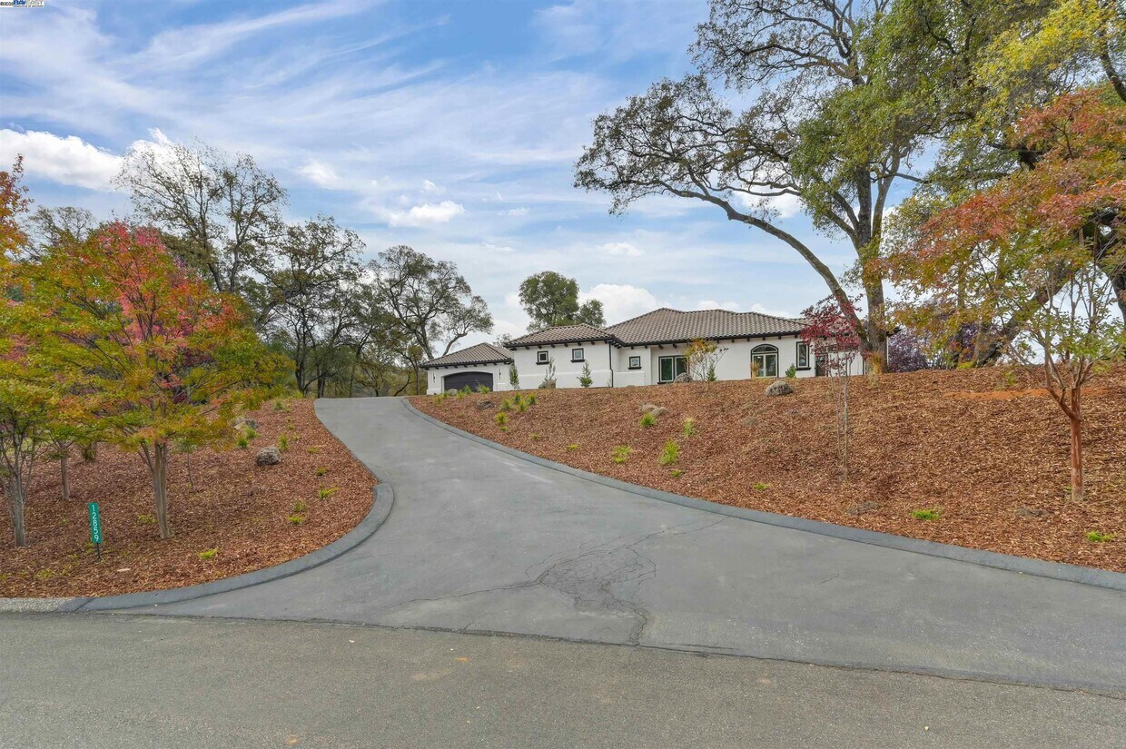 Foto principal - 12859 Austin Forest Cir