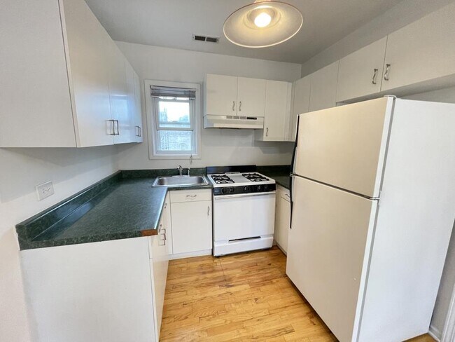 Building Photo - 1 bedroom in Chicago IL 60642