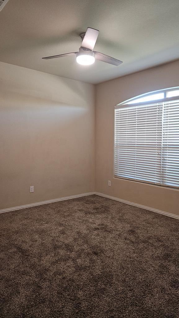 Building Photo - 6613 Hall of Fame Blvd