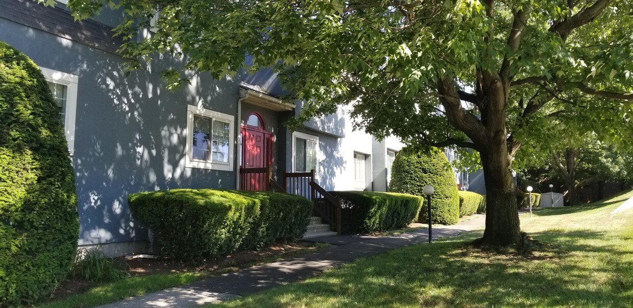 Beautifully maintained landcape by Darien - 9 Maple Tree Ave