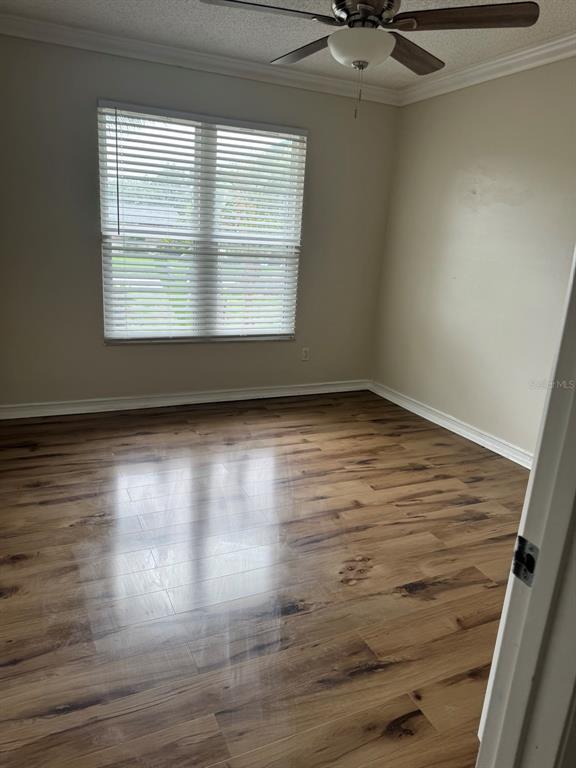 Building Photo - 3306 Lake Saxon Dr