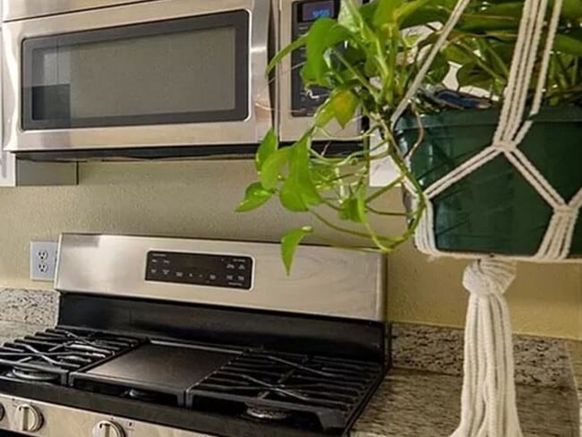 Foto del edificio - 3351 Jasmine St