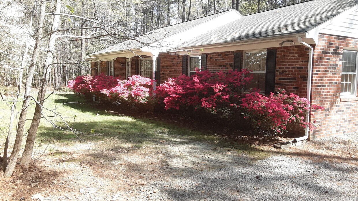 Foto principal - 3 Bedroom 2 bath Brick Ranch on 7.9 Acres ...