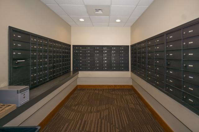 Foto del edificio - 3 bedroom in Bellevue WA 98004