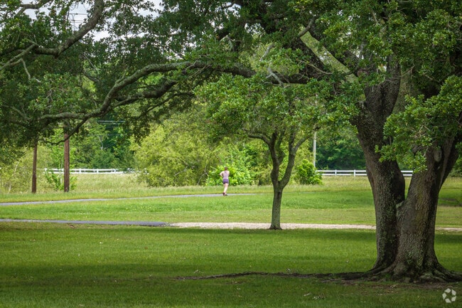A jogger taking a pleasant stroll in Pearland.
