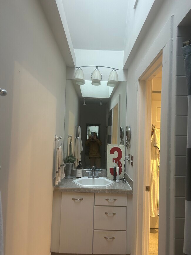 Upper bath with skylight - 181 E Kossuth St