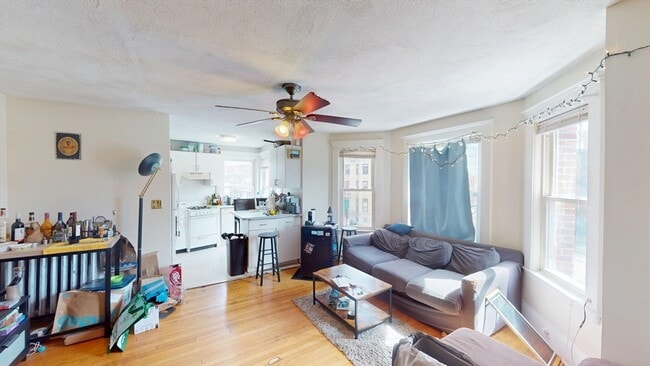 Foto del edificio - 217 Chestnut Hill Ave