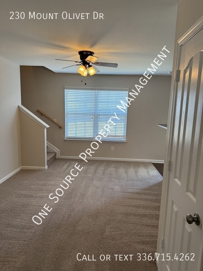 Foto del edificio - 230 Mount Olivet Dr