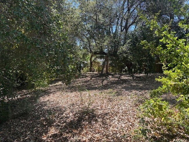 Foto del edificio - Historic Home On Huge Lot With Swimming Po...