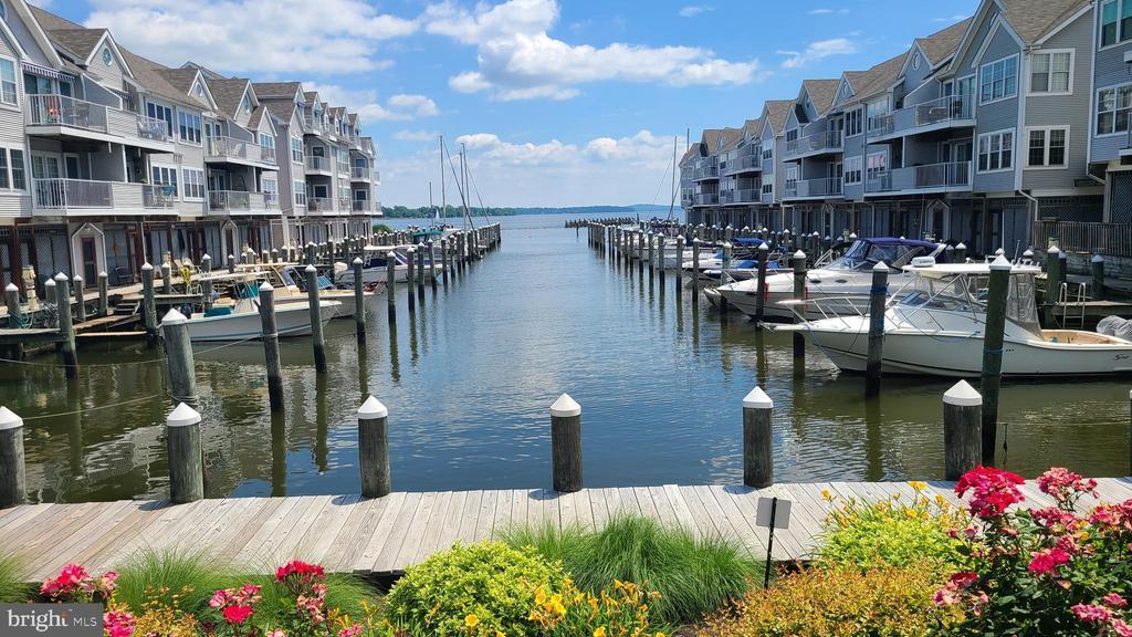 249 Fountain St, Havre de Grace, MD 21078 Room for Rent in Havre de Grace, MD