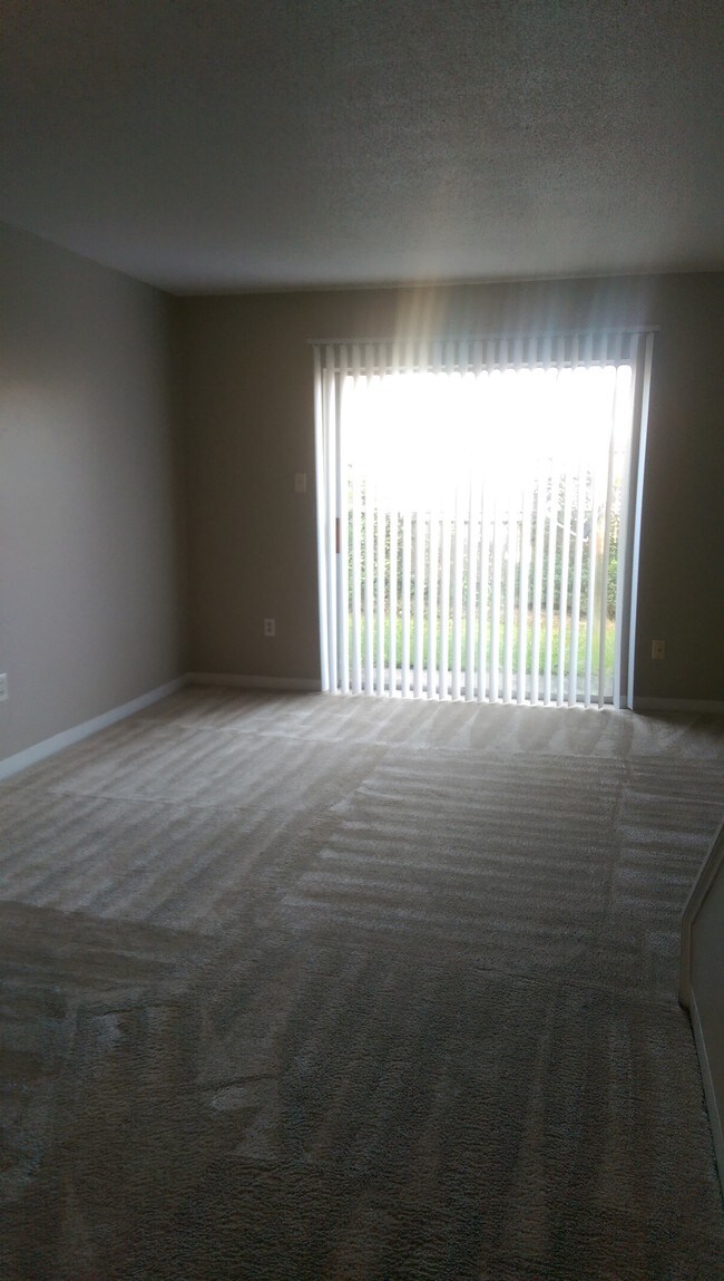 Sala de estar - Patriot Point of Lafayette (FKA Brookwood)