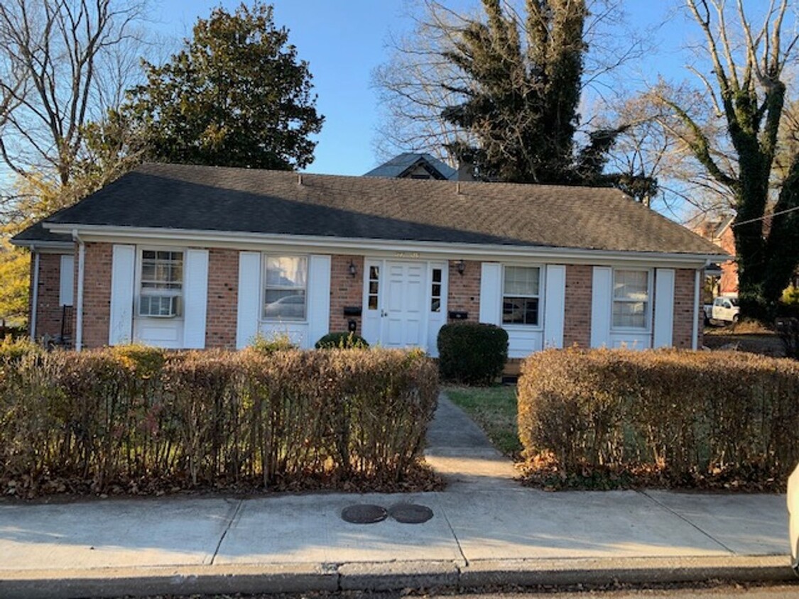 Primary Photo - Fully Renovated Basement Apartment