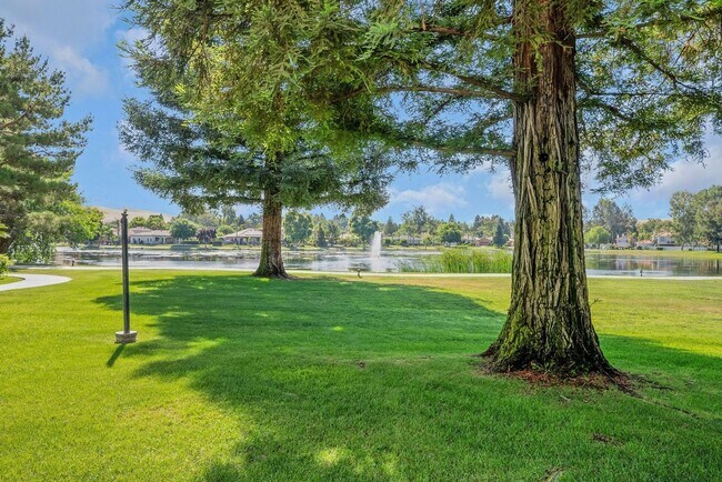Building Photo - 14500 Las Palmas Dr